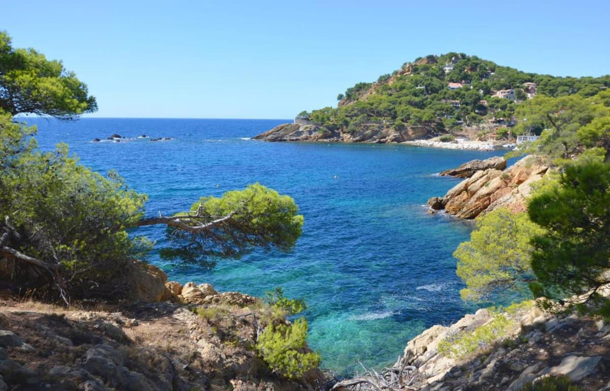Un Nid A Saint Tropez Lägenhet Exteriör bild